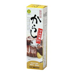 【送料一律540円】旨味本来　からしチューブ 　40g（ムソー）