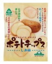 【16袋セット】ポテトチップス しお味 60g (サンコー)