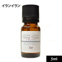 イランイラン5ml【ゆうパケット】【イランイラン エッセンシャルオイル 精油 アロマ アロマテラピー アロマオイル 手作り石鹸 手作り石けん 手作りコスメ 100%天然】(4)
