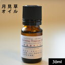 月見草オイルオーガニック30ml【バリューオイル】