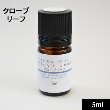 クローブ5ml【手作り石鹸/手作り化粧品/芳香浴/アロマテラピー】