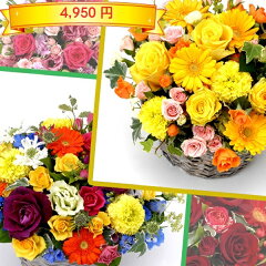 https://thumbnail.image.rakuten.co.jp/@0_mall/jfn87/cabinet/10058303/mother/4950yen.jpg