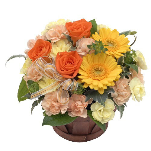 Rakuten - 2026母の日/5月10日/母の日ギフト/母の日花/母の日フラワー/母の日カーネーション/ハッピーモア【5/8～10日の期間中】