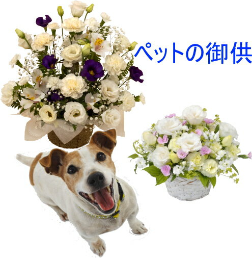 Rakuten - 大切なペットに心を込めて御供え致します。お花屋さんにおまかせアレンジ（PET-003）