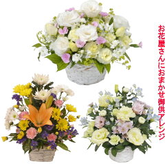 https://thumbnail.image.rakuten.co.jp/@0_mall/jfn87/cabinet/imgrc0063909362.jpg