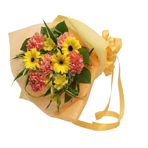 Other - 2026母の日/5月10日/母の日ギフト/母の日花/母の日フラワー/母の日カーネーション/カーネーション【ご注文日より4日以内のお届け】