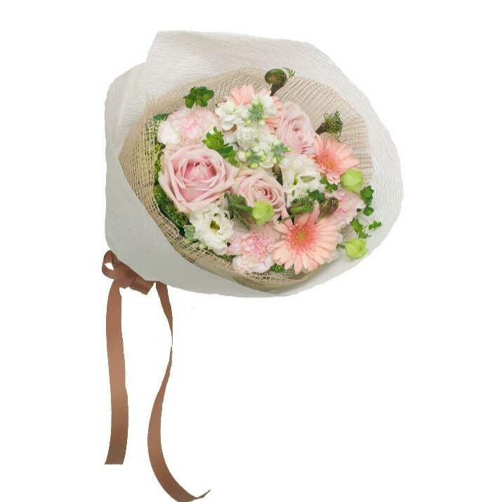  �s���N�J���[�E�u�[�P ���j���E���a�����E�������j�E�o�Y���j�E�J�X���j�E�����L�O���E����E���\��E�G�߂̂��ԁE���Ԃ��v���[���g�E���l���E�o�����^�C���E�z���C�g�f�[�E�ސE�j���E���w�j���Ȃ�        ���b�Z���� 