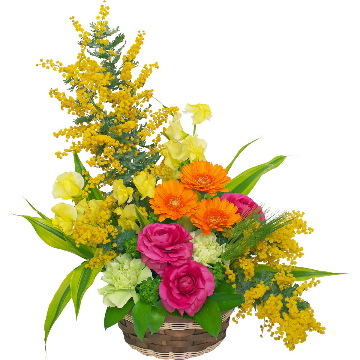 �ڽդΤ��֡��ߥ⥶�ۤ��ˤ��������������뺧�ˡ��л��ˡ���Ź�ˡ��뺧��ǰ�������顦ȯɽ�񡦵���Τ��֡����֤��ץ쥼��ȡ��ۥ磻�ȥǡ����࿦�ˤ������ؽˤ���´�Ƚˤ�...