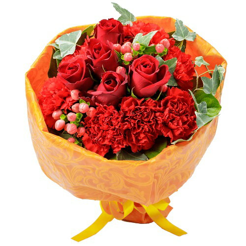 Rakuten - 2026母の日/5月10日/母の日ギフト/母の日花/母の日フラワー/母の日カーネーション/カーネーション/【5/8～10日お届け】