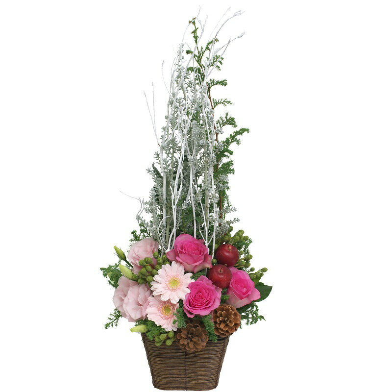 [受付期間2025年11月01日〜2025年12月24日]☆クリスマスツリーをイメージしたような可愛らしいウインタ..