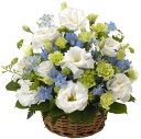 ギフト対応 ☆---　商品情報　---☆ ■商品名（品番） 千の風（FF-010) ■サイズ・形式 約H32×W30×D30　アレンジ ■商品紹介 白をメインにブルーや紫系のお花を入れた洋花のお供え用アレンジメントです。イメージではトルコキキョウやデルフィニウム等を使用しております。 ■ご注意事項 1.掲載写真はイメージです。商品のお届けは、ご依頼頂きましたお届け先様の最寄りの生花店より配達(または地域の出荷拠点より出荷)致しますので、地域風習や季節により花材や資材の仕様が若干変更されます。 2.ご注文の際、ご用途（お見舞・御供（法事・何回忌等））を備考欄にご記入下さい。 3.メッセージカードを無料でお付けすることが可能です。（全角30文字程度）ご注文の際、備考欄にご記入下さい。 4.お届け日のご指定がある場合はご注文の際ご記入下さい。ご指定がない場合はご注文日の翌日お届けにて手配致します。 5.あす楽対応につきまして、一部離島など例外の地域もございます。離島などへのお届けにつきましては事前に当店へお問い合わせをお願い致します。