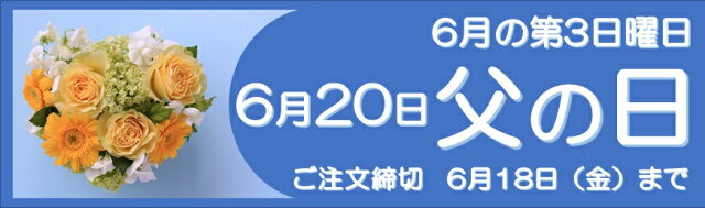 楽天市場 jfnは全国生花加盟店から新鮮なお花をお届けいたします jfn花くらぶ トップページ 楽天市場 jfnは全国生花加盟店から新鮮なお花をお届けいたします jfn花くらぶ トップページ