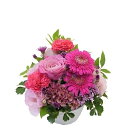 【お花屋さんにおまかせ】お祝い・お誕生日・結婚お祝・出産祝・開店祝・結婚記念日・お礼・発表会・季節のお花・学芸会・秋のフラワーギフト・退職祝い・敬老の日など。