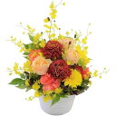 【お花屋さんにおまかせ】お祝い・お誕生日・結婚お祝・出産祝・開店祝・結婚記念日・お礼・発表会・季節のお花・学芸会・秋のフラワーギフト・退職祝い・敬老の日など。