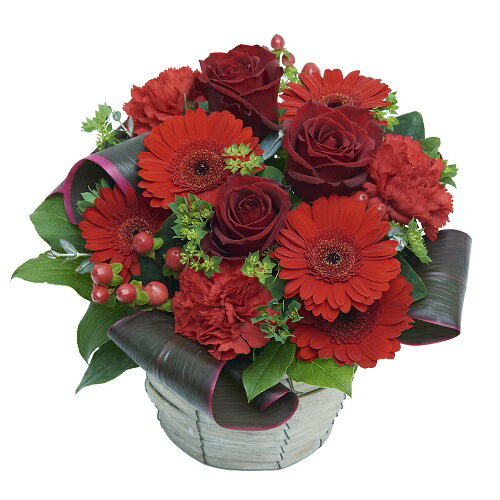 �ڲڤ䤫�ʥ���󥸡��Х顦�����٥��åɷϡۤ��ˤ��������������뺧�ˡ��л��ˡ���Ź�ˡ��뺧��ǰ�������顦ȯɽ�񡦵���Τ��֡����֤��ץ쥼��ȡ����ͼ����Х�󥿥�...