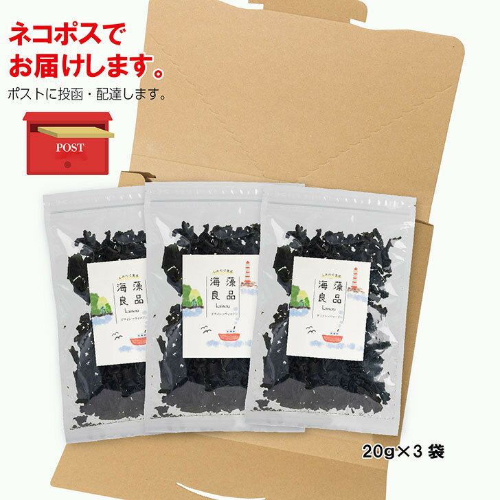 市場 500円OFFクーポン配布中 食物繊維入り しいたけ茶 3袋 3g×50本入 使い切りスティックタイプ かね七 食物繊維入 市場 500円OFFクーポン配布中 食物繊維入り しいたけ茶 3袋 3g×50本入 使い切りスティックタイプ かね七 食物繊維入