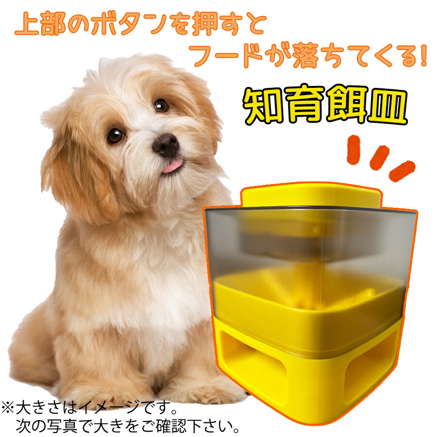 早食い防止 フードボウル 餌皿 餌入れ 犬 食器 早食い防止 餌入れ容器 留守対策 清潔 犬知育玩具 フードストッカー 健康 滑り止め付き スクエア型 おしゃれ プレゼント 白色 黄色 知育