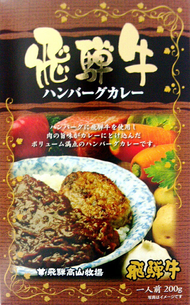 ★5箱セット★飛騨高山牧場飛騨牛ハンバーグカレー220g×5箱セット【レトルトカレー】【全国ご当地カレー】