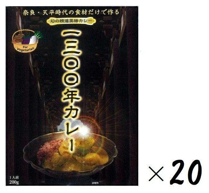 （20箱セット）奈良・幻の精進薬膳カレー 1300年カレー 200g（箱入、1人前）×20箱（大容量・業務用）（RAHOTSU やくぜん 薬膳 野菜カレー スパイスカレー レトルト 近畿 奈良 ご当地カレー ベジタブル）（沖縄・離島への発送は別途送料）