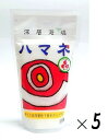 (5袋セット)深層海塩 ハマネ200g(袋入、パウチ)×5袋(海水塩 浄化塩 濃縮 循環蒸発 しお シオ 深層地下海水塩 シーソルト にがり Deep Sea ...
