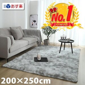 【楽天ランキング1位】200x250cm シルバーグレー シャギーラグマット 北欧 ラグカーペット 滑り止め付 床暖房対応 送料無料 JGP-099