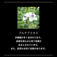 【定形外OK】9.PUZZLEフレグランスハンドジェルナインドッツパズル香水ハンドジェルメンズユニセックスギフト30mL