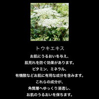 【定形外OK】9.PUZZLEフレグランスハンドジェルナインドッツパズル香水ハンドジェルメンズユニセックスギフト30mL