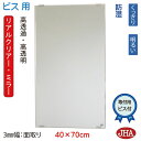 JHA 洗面所鏡 洗面台鏡 おしゃれ 鏡 ミラー(リアルクリアー・ミラー) デラックス 柄なし W400×H700 通常品 (3mm幅:面取り)(ビス用)(防湿...