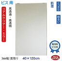 JHA 姿見 鏡 おしゃれ 姿見ミラー 姿見鏡(リアルクリアー・ミラー)デラックス 柄なし W400×H1200 通常品(3mm幅:面取り)(ビス用)(防湿加工) RCM-40X120Tb 明るい クッキリ 鮮やか(高透過ミラー・高透明ミラー・高精彩ミラー)玄関 全身ミラー シンプル