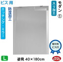JHA 姿見 鏡 おしゃれ 姿見ミラー 姿見鏡(デザインミラー)モダン1 W400×H1800(ビス用) EM-40X180Tb-M1 防湿 鏡 ミラー フレームレスミラー ノンフレーム 玄関 全身鏡 全身ミラー おしゃれ 店舗 モダン スタイリッシュ シンプル エッチング 四角(3)