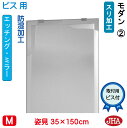 JHA 姿見ミラー 姿見鏡(デザインミラー) モダン2 W350×H1500(ビス用) EM-35X150Tb-M2 鏡 ミラー フレームレスミラー ノンフレーム 玄関 全身鏡 全身ミラー おしゃれ 店舗 モダン スタイリッシュ シンプル エッチング 四角