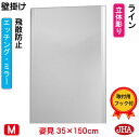 JHA 姿見ミラー 姿見鏡 (デザインミラー) ライン W350×H1500 (飛散防止・壁掛け用) (完全防湿) EM-35X150TF-LN 鏡 ミラー フレームレスミラー ノンフレーム 玄関 全身鏡 全身ミラー おしゃれ 店舗 モダン シンプル スタイリッシュ エッチング 四角