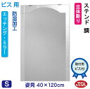 JHA 姿見 鏡 おしゃれ 姿見ミラー 姿見鏡(デザインミラー)ステンド調 W400×H1200(ビス用) EM-40X120Tb-SG 防湿 鏡 ミラー フレ...