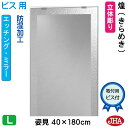 JHA 姿見 鏡 おしゃれ 姿見ミラー 姿見鏡(デザインミラー)煌(きらめき) W400×H1800(ビス用)EM-40X180Tb-KM 防湿 鏡 ミラー フ...