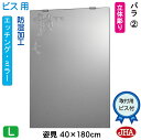 JHA 姿見 鏡 おしゃれ 姿見ミラー 姿見鏡(デザインミラー)バラ2 W400×H1800(ビス用)EM-40X180Tb-R2 防湿 鏡 ミラー フレームレ...