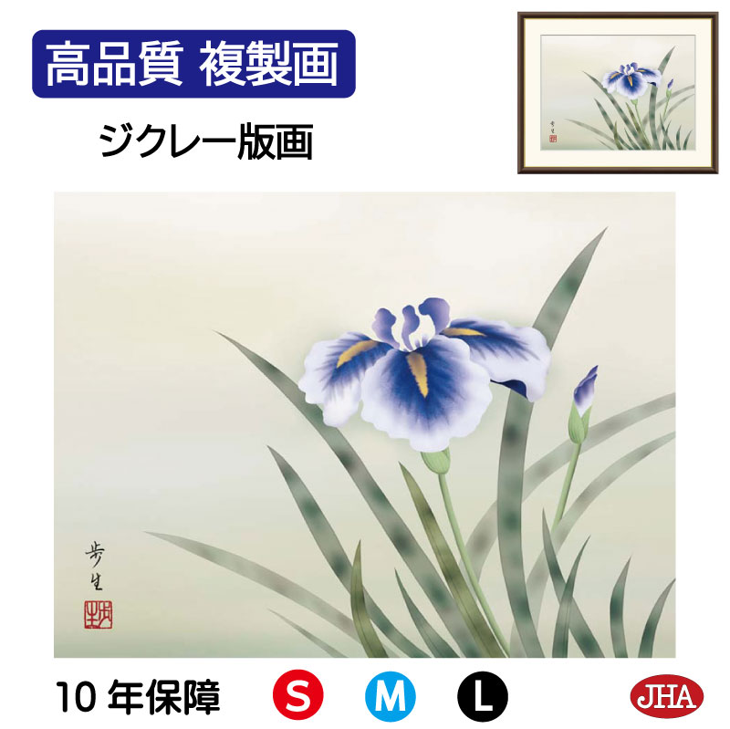 【クーポンあり】JHA 絵画 インテリア 額入り 額絵 日本画 花鳥画 夏飾り「菖蒲」北山歩生(三美会)高品質複製画 W420×H340 NK0-KCN-5S ...