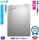 JHA 姿見 鏡 おしゃれ 姿見ミラー 姿見鏡【デザインミラー】 花柄1 W400×H1200(面取り)【ビス用】 EM-40X120Mb-F1 防湿 鏡 ミラ...