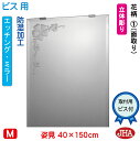 JHA 姿見 鏡 おしゃれ 姿見ミラー 姿見鏡【デザインミラー】 花柄1 W400×H1500(面取り)【ビス用】 EM-40X150Mb-F1 防湿 鏡 ミラ...
