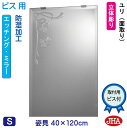 JHA 姿見 鏡 おしゃれ 姿見ミラー 姿見鏡 (デザインミラー) ユリ W400×H1200(面取り)(ビス用)EM-40X120Mb-U 防湿 鏡 ミラー ...