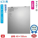 JHA 姿見 鏡 おしゃれ 姿見ミラー 姿見鏡(デザインミラー)アイビー1 W400×H1500(ビス用)EM-40X150Tb-V1 防湿 鏡 ミラー フレー...