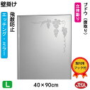 JHA 鏡 壁掛け おしゃれ ミラー 壁掛け鏡 ウォールミラー(デザインミラー) ブドウ (飛散防止・壁掛け用) W400×H900(面取り) EM-40X90...