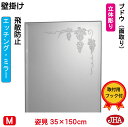 JHA 姿見ミラー 姿見鏡 (デザインミラー) ブドウ W350×H1500(面取り)(飛散防止・壁掛け用) (完全防湿) EM-35X150MF-B 鏡 ミラー フレームレスミラー ノンフレーム 玄関 全身鏡 全身ミラー おしゃれ 店舗 モダン シンプル エッチング 四角(3)
