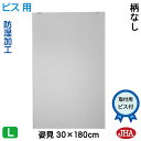 JHA 姿見 鏡 おしゃれ 姿見ミラー 姿見鏡(インテリアミラー)デラックス 柄なし W300×H1800(ビス用)CM-30X180Tb 防湿 鏡 ミラー フ...