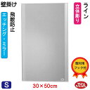 JHA 鏡 壁掛け おしゃれ ミラー 壁掛け鏡 ウォールミラー(デザインミラー) ライン W300×H500(飛散防止・壁掛け用) (完全防湿) EM-30X50TF-LN フレームレスミラー ノンフレーム 化粧鏡 玄関 洗面 トイレ 寝室 おしゃれ モダン シンプル エッチング 四角