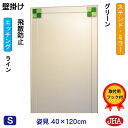 JHA 姿見ミラー 姿見鏡 壁掛け鏡(デザインミラー) ステンド(グリーン) W400×H1200(飛散防止・壁掛け用) EM-40X120TF-FG 鏡 ミラ...