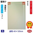 JHA 姿見 壁掛け 鏡 おしゃれ 姿見ミラー 姿見鏡 アートミラー(色ガラス) 彩(いろどり) サクラ W400×H1200(飛散防止・壁掛け用) (完全防湿)AM-40X120TF-SK フレームレスミラー ノンフレーム 玄関 全身鏡 全身ミラー ステンドグラス モダン エッチング 四角