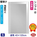 JHA 姿見 壁掛け 鏡 おしゃれ 姿見ミラー 姿見鏡(デザインミラー)シンプル4 (飛散防止・壁掛け用)W400×H1200 (完全防湿) EM-40X120...