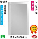 JHA 姿見 壁掛け 鏡 おしゃれ 姿見ミラー 姿見鏡(デザインミラー)シンプル4 (飛散防止・壁掛け用)W400×H1800 (完全防湿) EM-40X180...
