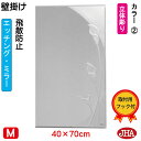JHA 鏡 壁掛け おしゃれ ミラー 壁掛け鏡 ウォールミラー(デザインミラー) カラー2 W400×H700(飛散防止・壁掛け用) EM-40X70TF-CA2 フレームレスミラー ノンフレーム 化粧鏡 玄関 洗面所 トイレ 寝室 おしゃれ 優雅 エレガント 上品 スタイリッシュ エッチング