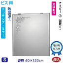 JHA 姿見 鏡 おしゃれ 姿見ミラー 姿見鏡【デザインミラー】 アイビー1 W400×H1200(面取り)【ビス用】 EM-40X120Mb-V1 防湿 ミラー フレームレスミラー ノンフレーム 玄関 全身鏡 全身ミラー おしゃれ 店舗 優雅 エレガント 上品 スタイリッシュ 四角 エッチング